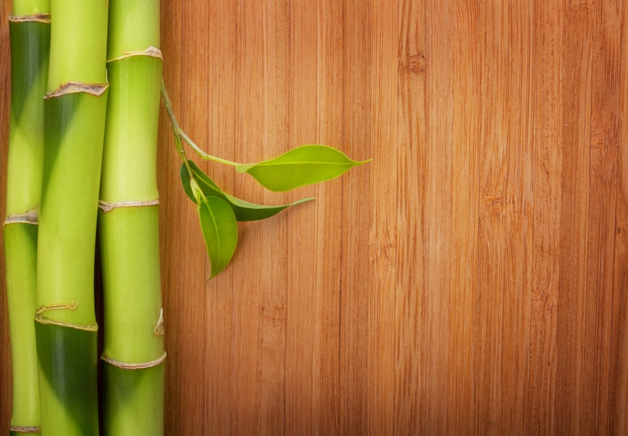 Bamboo Frame Made Of Stems On Wood Background