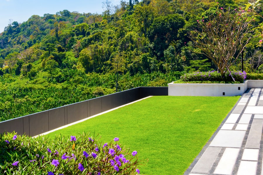 Beautiful Grass On A Roof