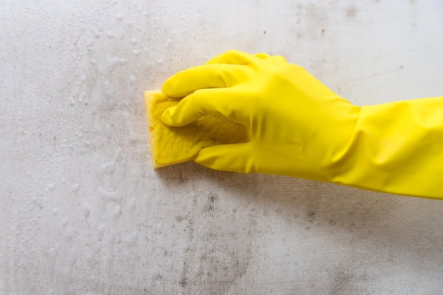Close-Up Of A Woman's Hand Washing The Wall From Mold With A Sponge And Cleanser