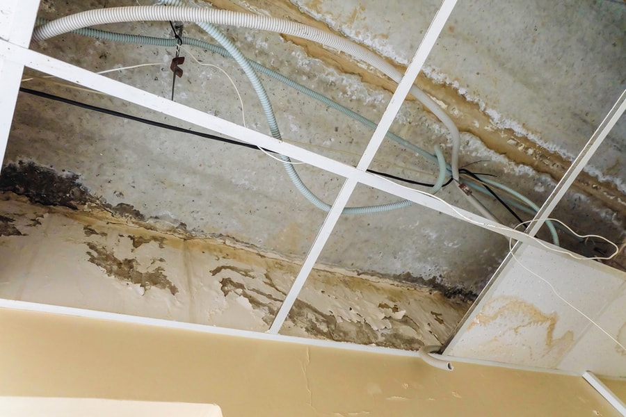 Damaged Ceiling And Floor Water Leaks