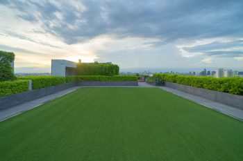 Grass On Private Rooftop