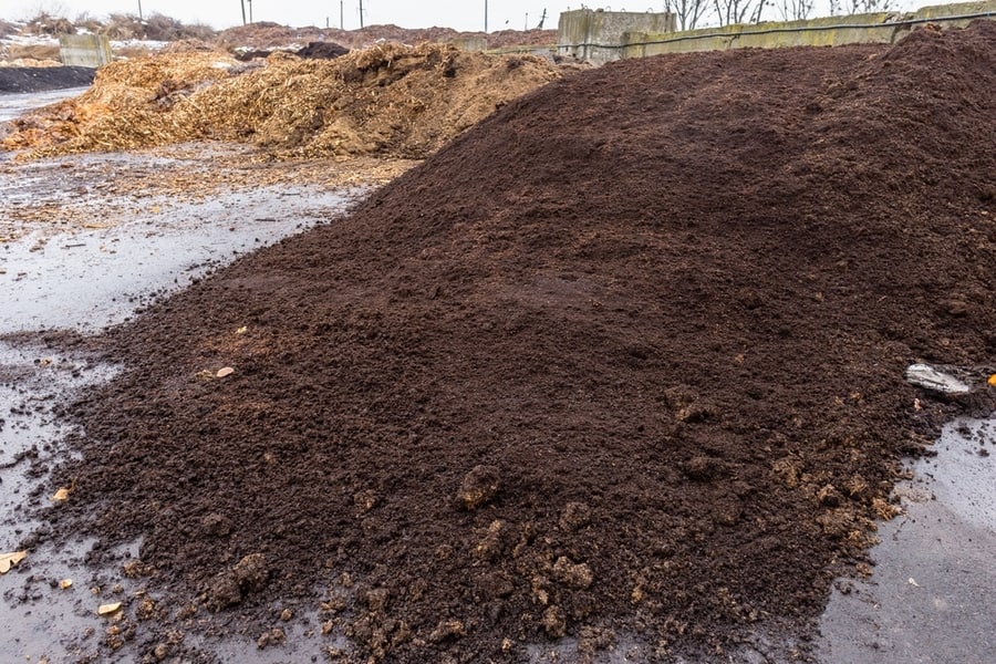 Leftover Coffee Grounds