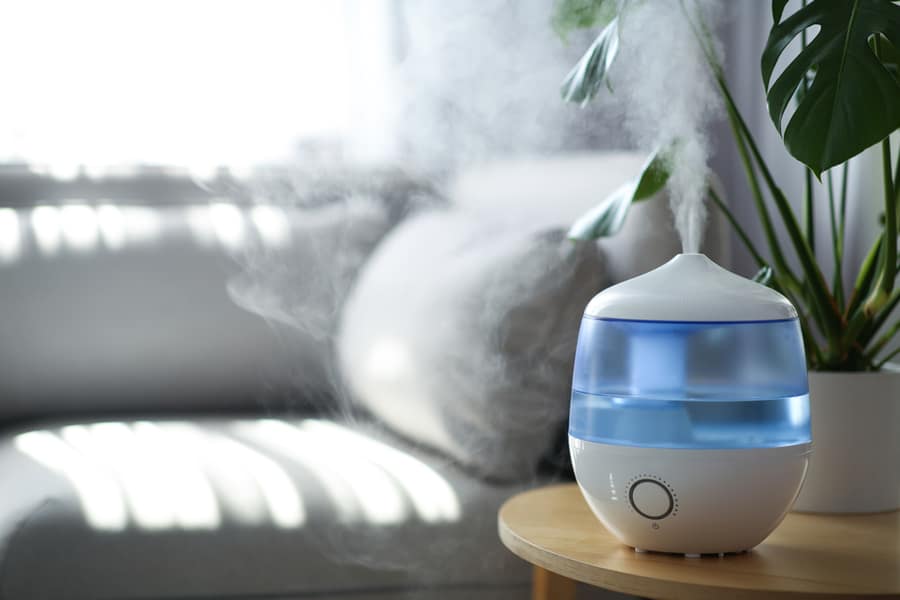 Modern Air Humidifier Houseplant