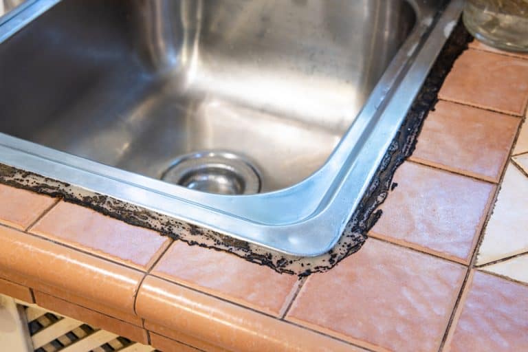 How To Prevent Mold Around the Kitchen Sink HandyHabits