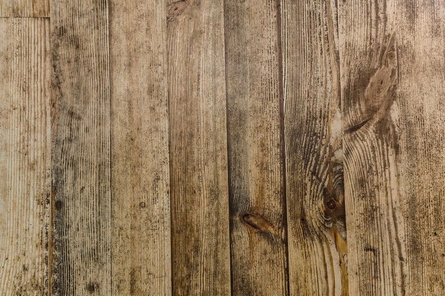 Removing Mold And Mildew From Wooden Doors
