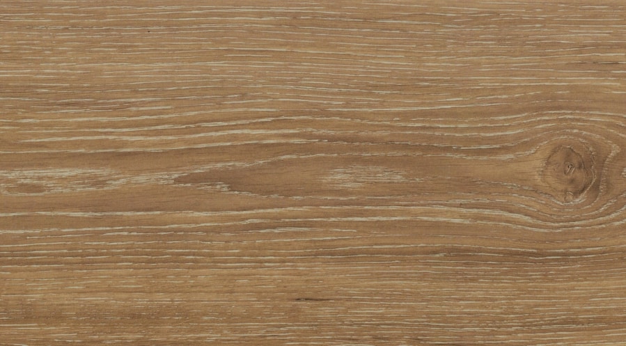 Rough Wooden Surface Close Up. Wood Texture Background