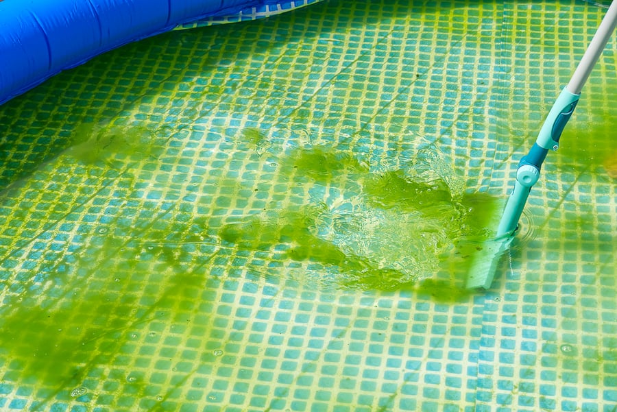Ways To Clean Mold Off Your Inflatable Pool