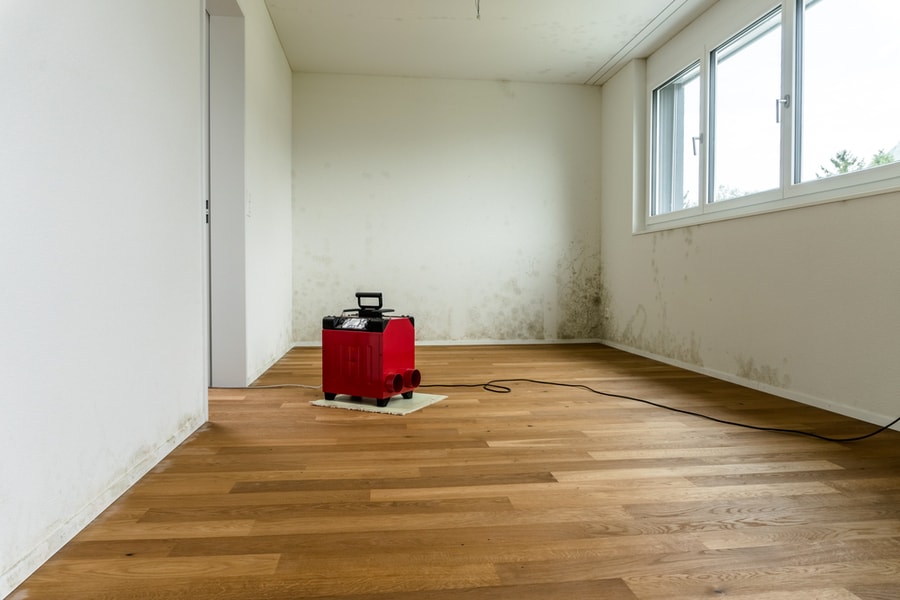 Dehumidifier Near The Swollen Wood