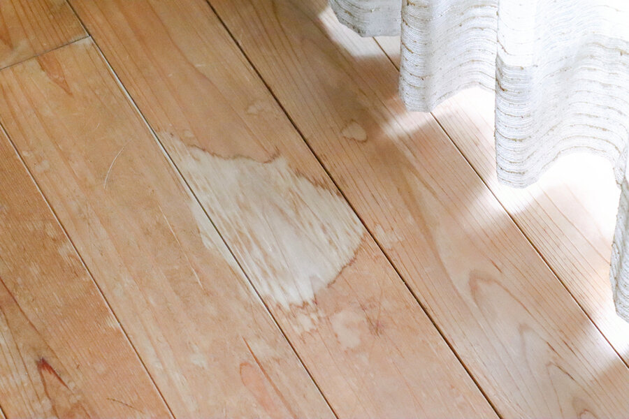 Flooring With Stains Due To Pet Urine.