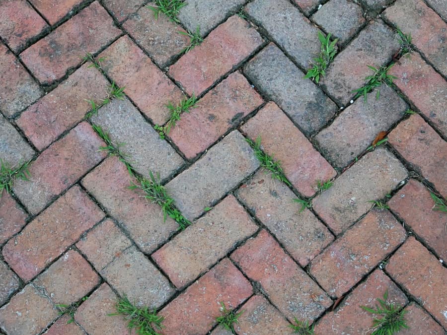 Rebar vs. Wire Mesh in Your Concrete Patio or Driveway HandyHabits