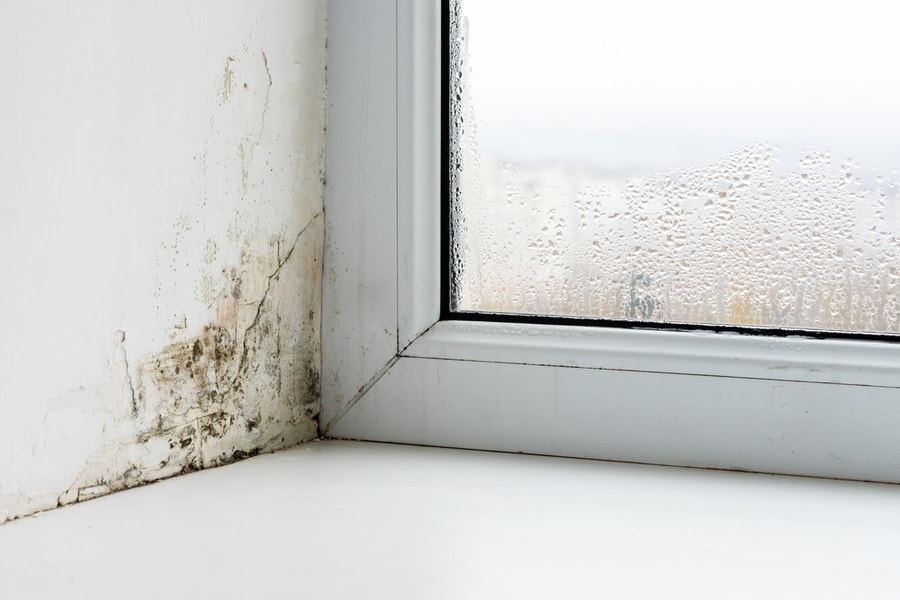 Mold In The Corner Of The Plastic Windows