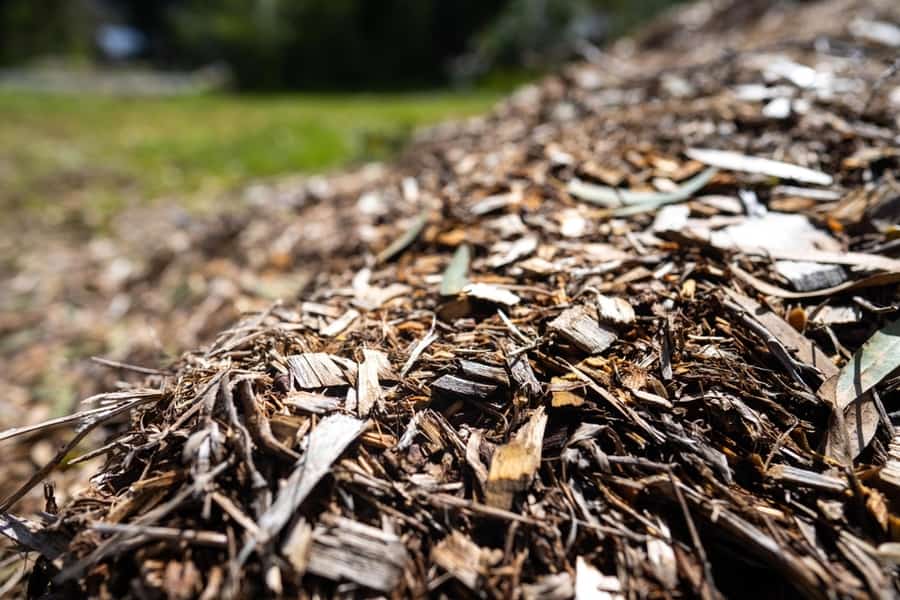 Wood Chips Compost Pile