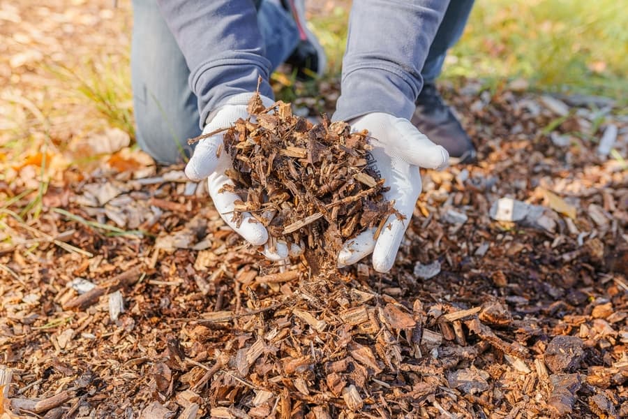 Wood Chips Mulching Composting
