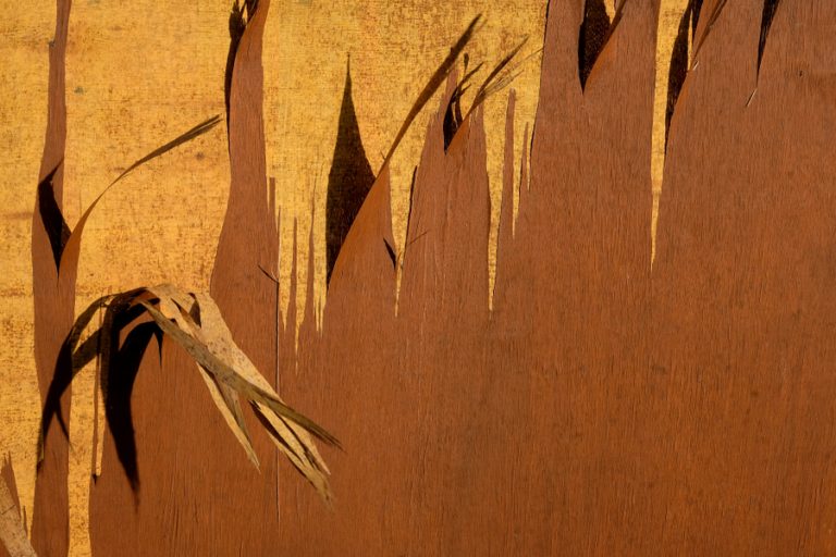 Comprehensive Guide to Preventing Plywood Delamination HandyHabits