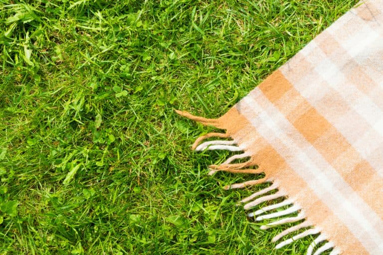 12 Tips To Prevent Chairs From Sinking in Grass HandyHabits
