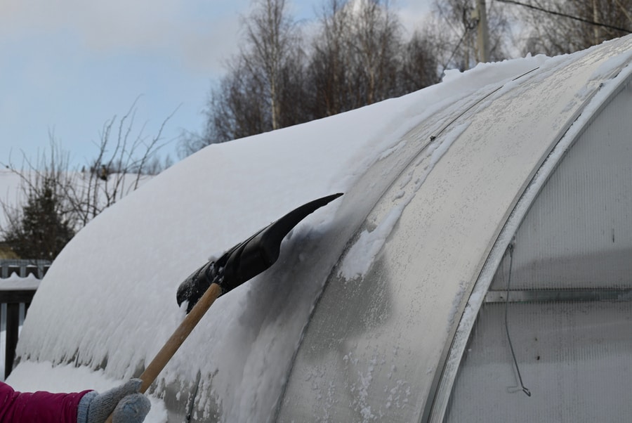 Cleaning Polycarbonate Roof