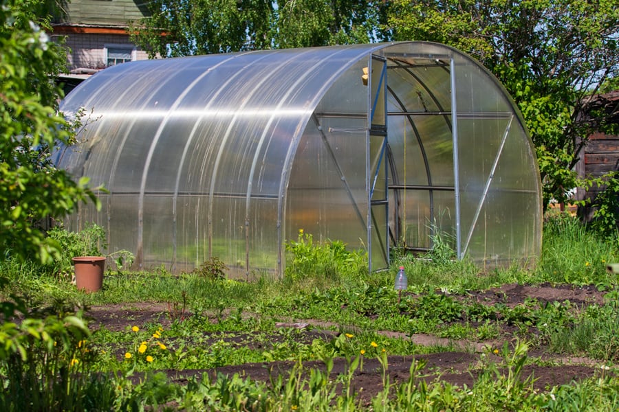 Do You Need To Clean Greenhouse Roof?