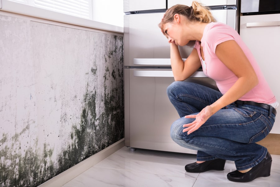 Easy Steps To Remove Mold From Inside Walls