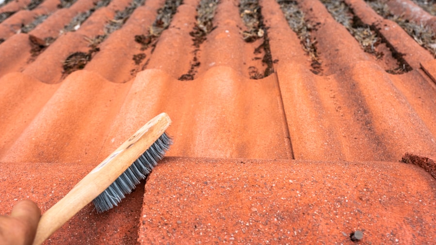 Holding A Special Brush For Cleaning Dirt