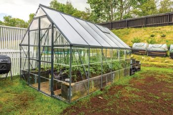 How To Clean Greenhouse Roof