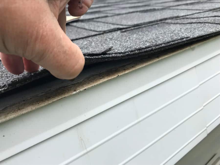 Roof Damage Inspection