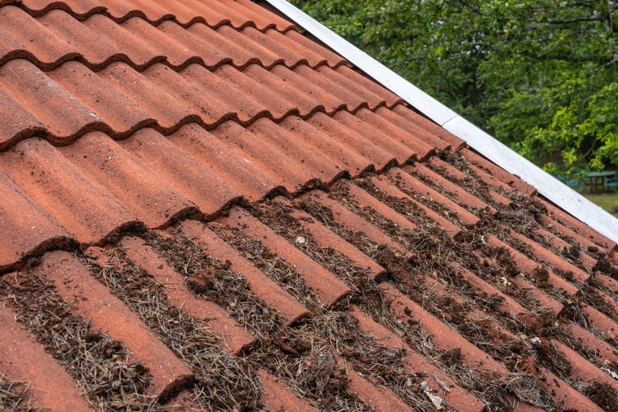 Roof Of The House, Covered With Dirt