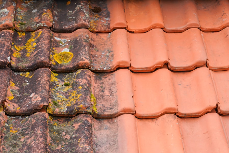 Roof Top Before And After Cleaning Moss Lichen High Pressure