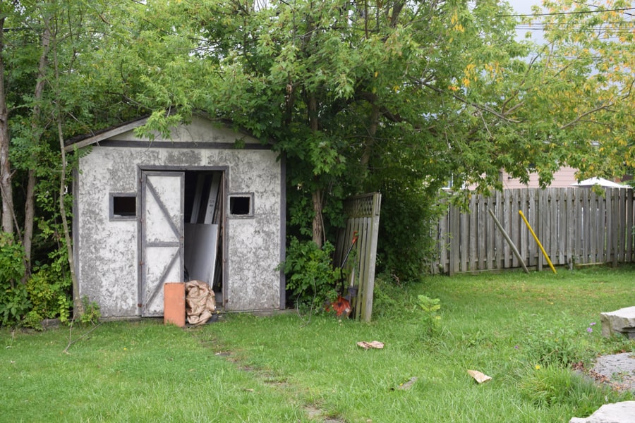 Shed In Back-Yard