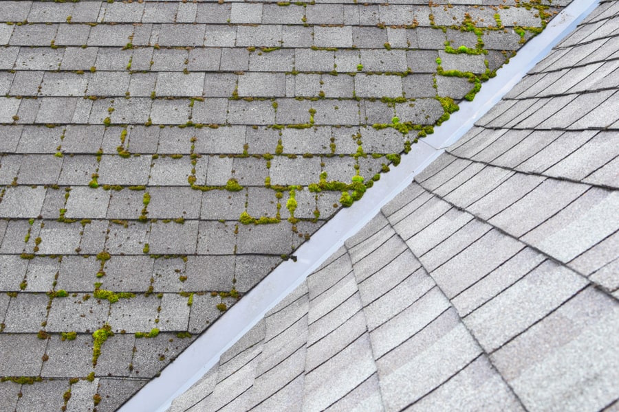 Shingles Roof One Part Overgrown With Green Moss Other Clean.