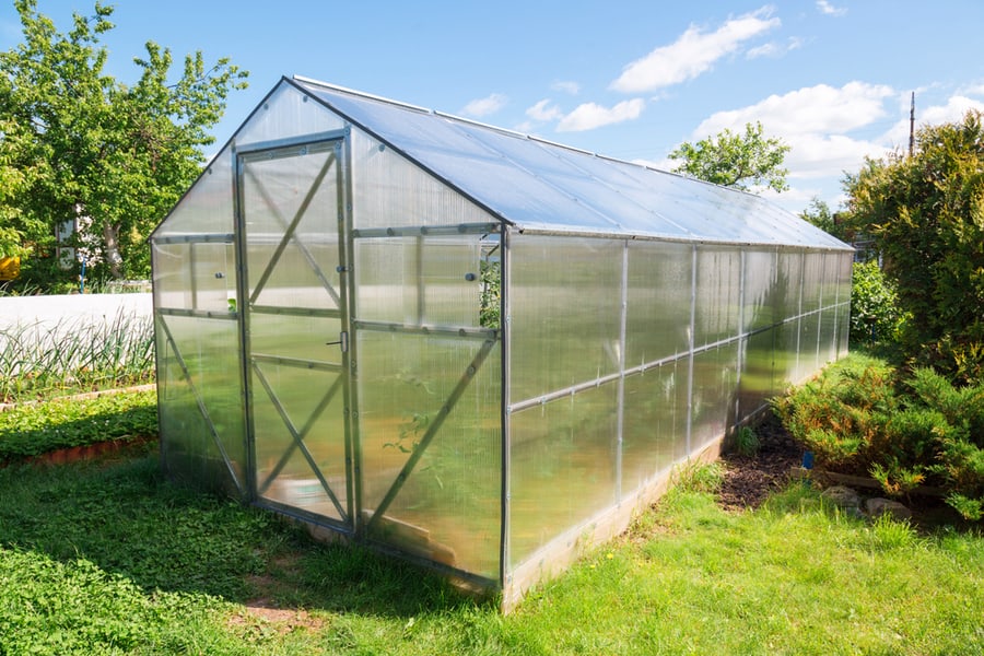 Ways To Clean Greenhouse Roof